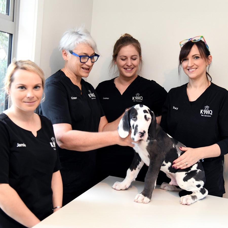 Printing and Embroidery